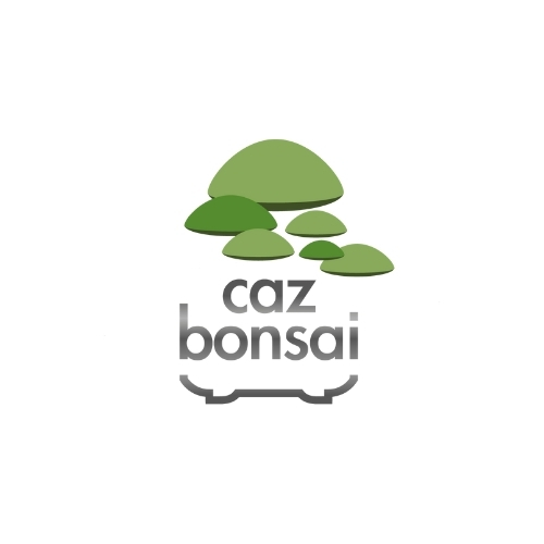 caz bonzai caz bonzai
