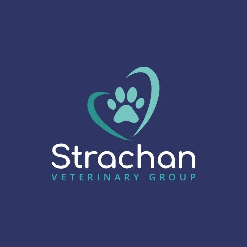 strachan vets strachan vets